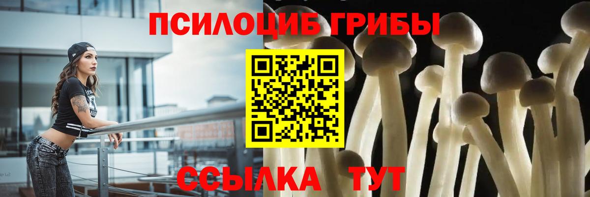 Домодедово  Псилоцибиновые грибы ЛСД  Вход с VPN 