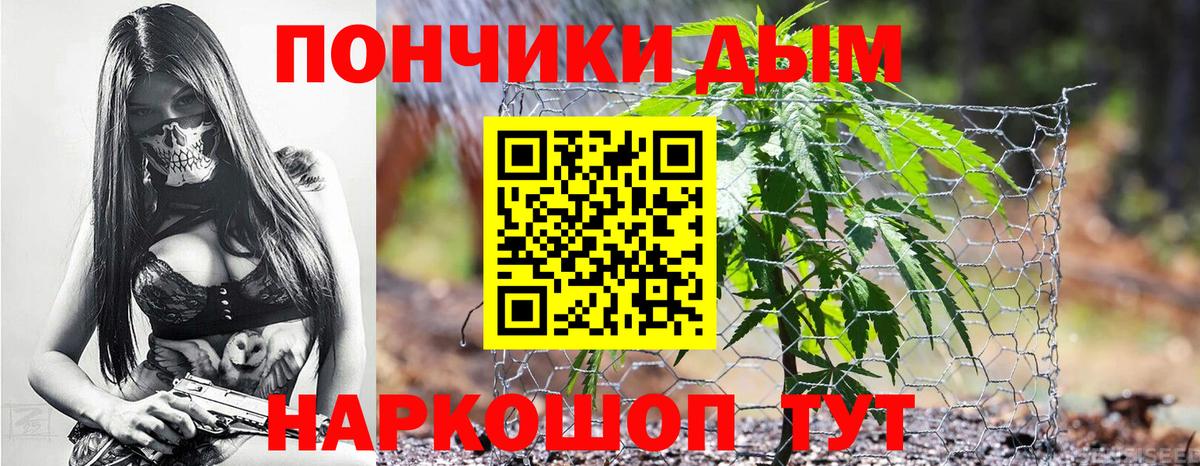 Канабис сатива Домодедово